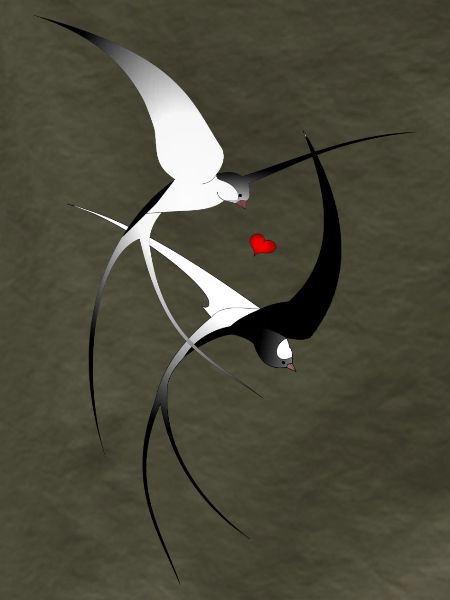 Vogel Schwalben
