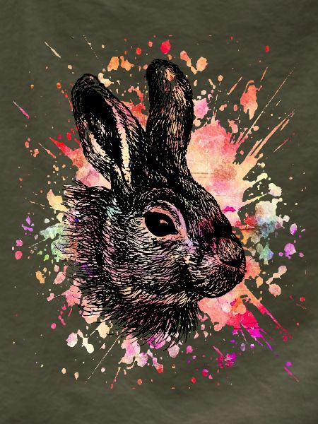 Hase aquarell