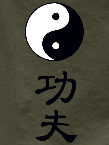 tao kung fu