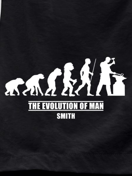 schmied Evolution