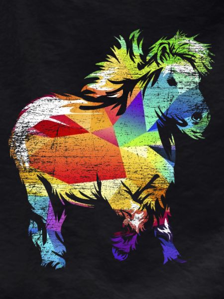 Flockiges Shetlandpony Schottland