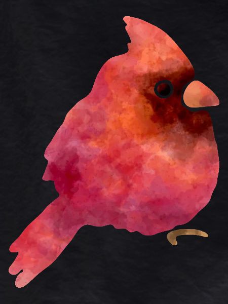 Süsser Vogel