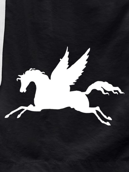 Pegasus Silhouette