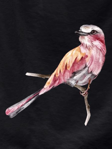 Vogel