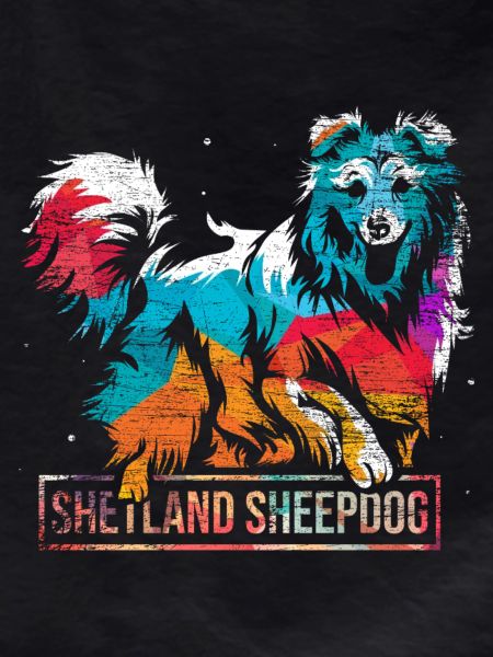 Pfiffiger Sheltie Colliezüchter