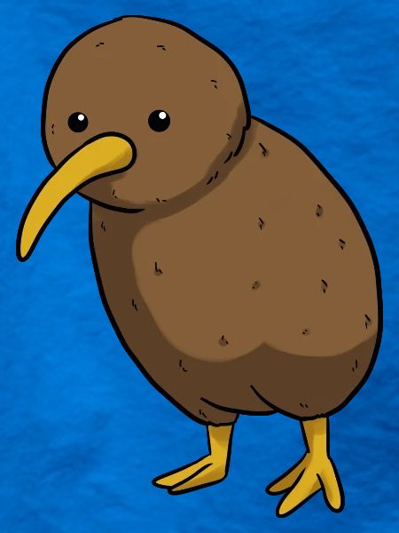 Kiwi Vogel