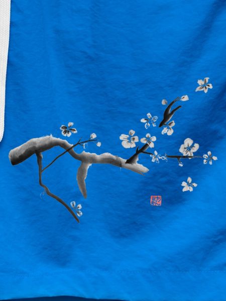 Sakura, Kirschblüten