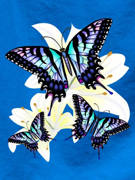 Blauer Schwalbenschwanz
