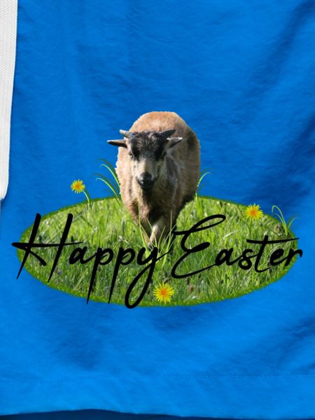 Easter Happy Easter