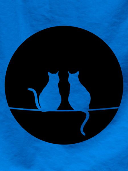 Katzen im Mondschein