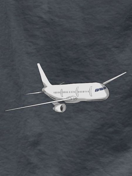 Flugzeug