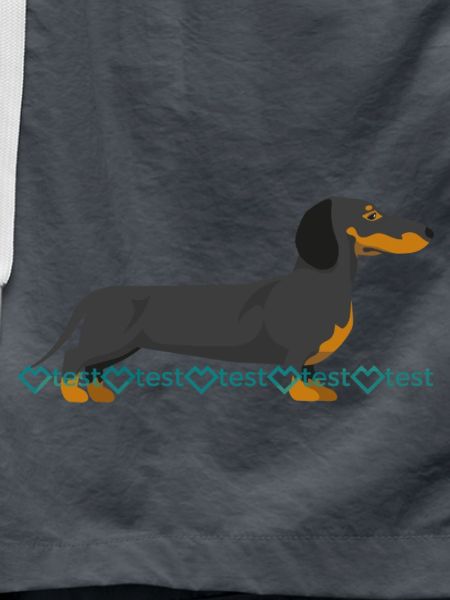 Dachshund Picture
