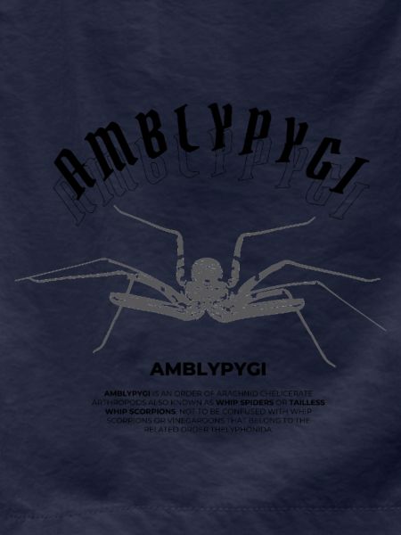 Geißelspinne - Amblypygi
