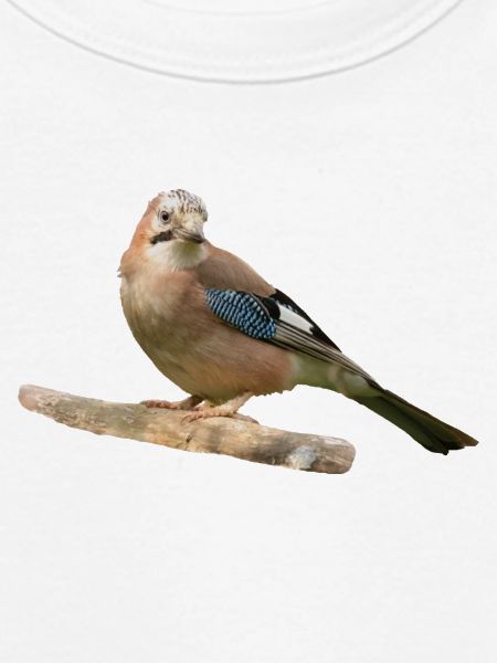 Eichelhäher