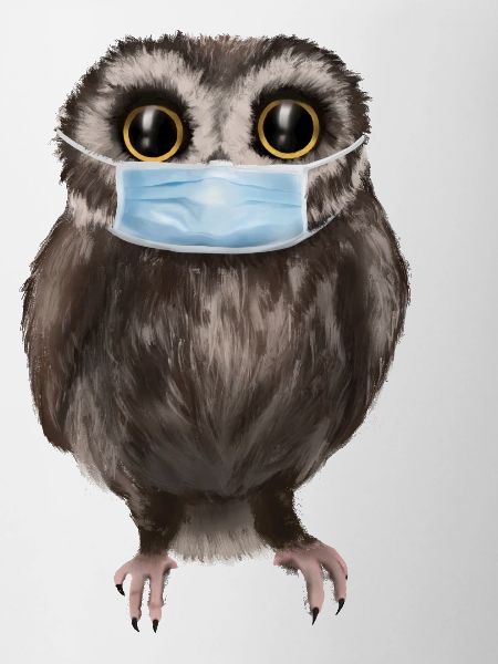 Eule mit Maske - Süße Eule mit Mundschutz