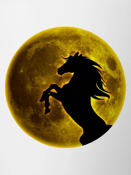 Vollmond Pferd