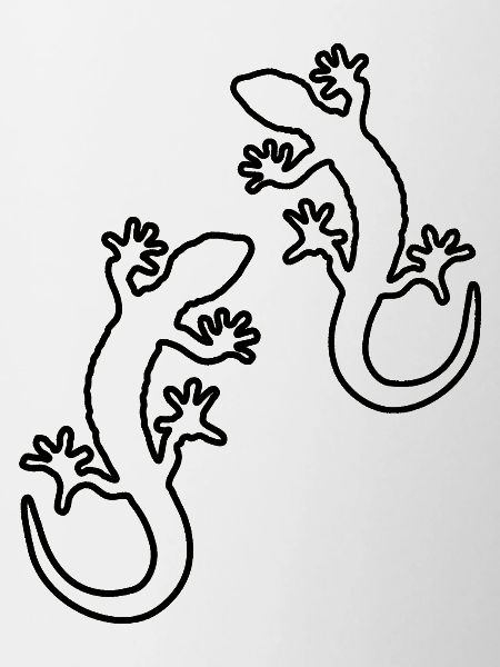 gecko zwei