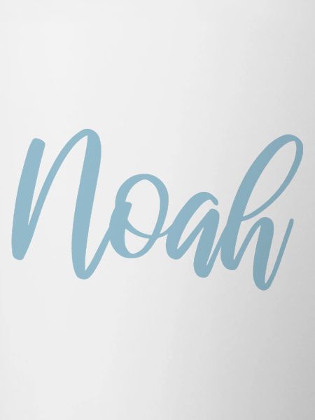 noah Vorname