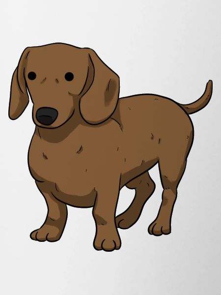 Dachshund