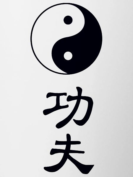 tao kung fu