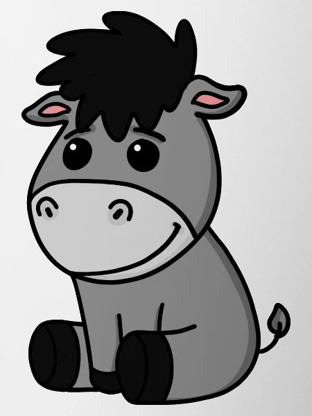 Bébé âne