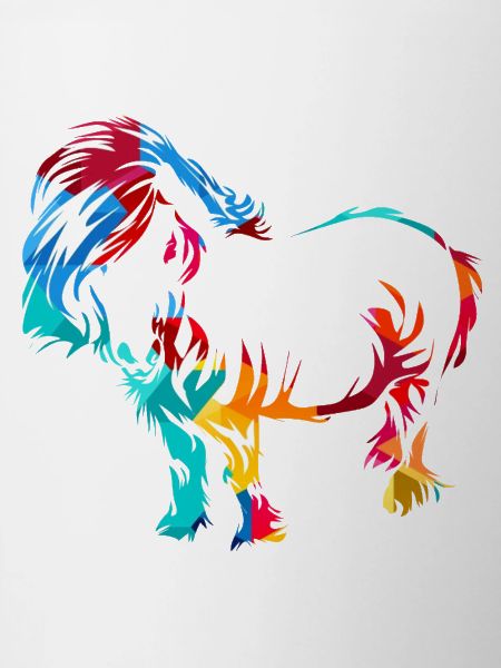Robustes Shetlandpony Reitstallfreund