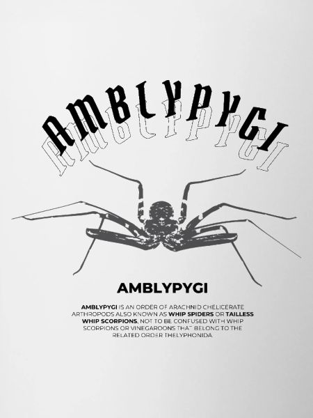 Geißelspinne - Amblypygi
