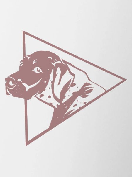 Flinker Deutsch Kurzhaar Jagdhund