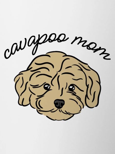 cavapoo mom