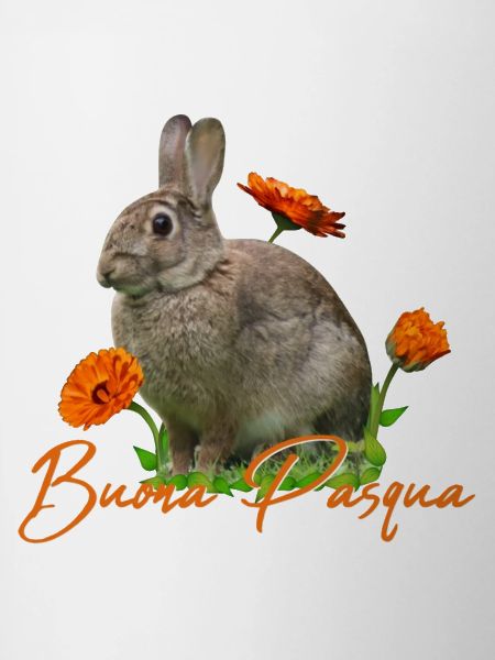 buona pasqua