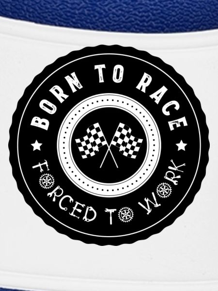 BornTo Race 2