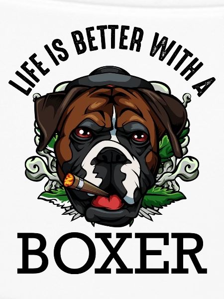 Boxer