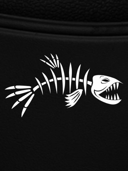 Fischgräte Fisch Skelett