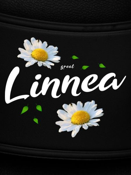 Linnea