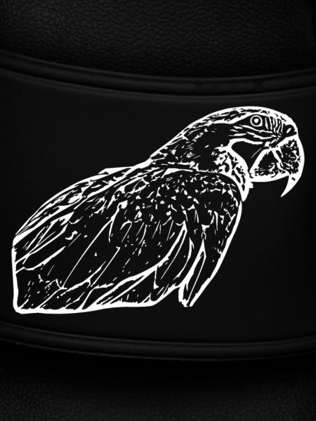 Papageien Vogel weiß