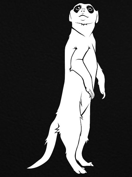 Erdmännchen