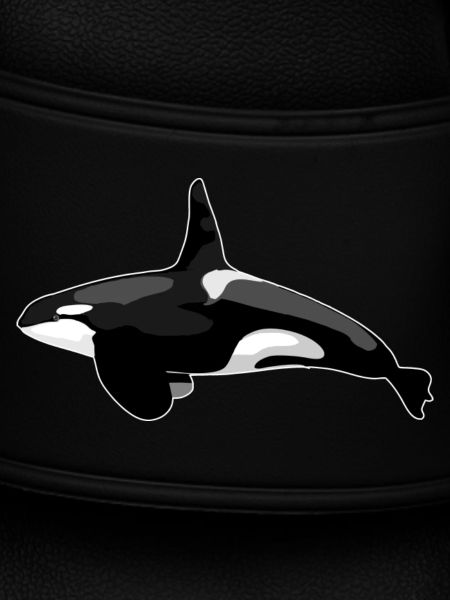 Orca