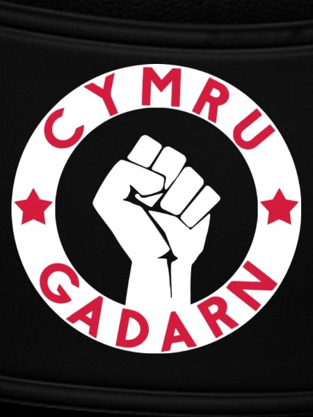 Cymru Gadarn