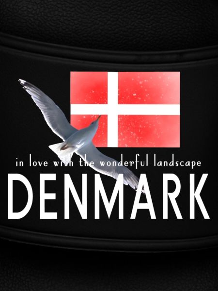 Dänemark Danmark Möwe