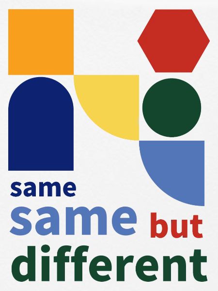 same same but different