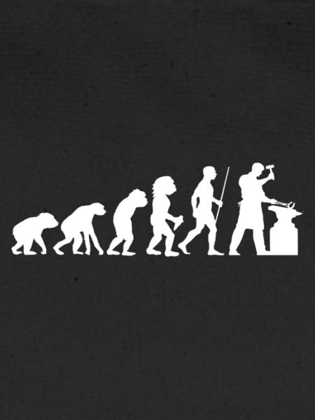 Evolution Schmied