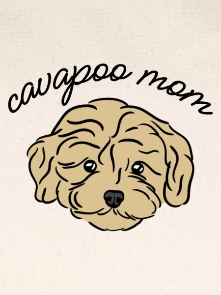 cavapoo mom