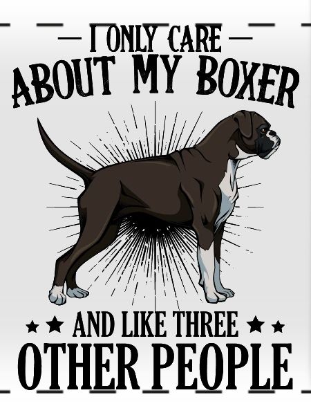 Boxer