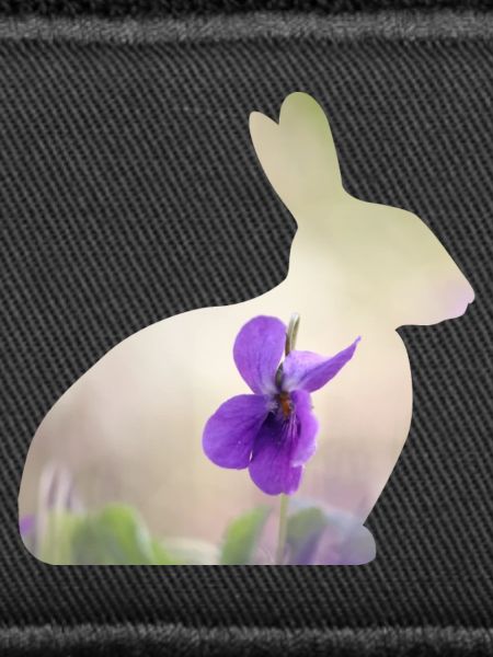 Hase Kaninchen
