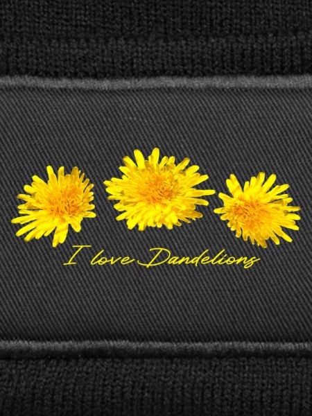 Löwenzahn Pusteblume Löwenzähmer