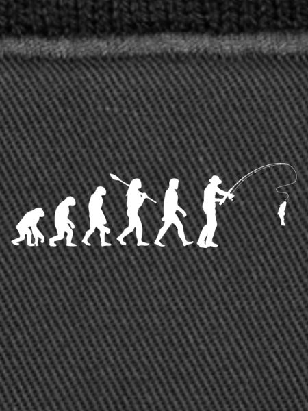 Fischerei Evolution Silhouette
