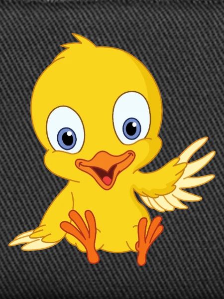 Cute chick
