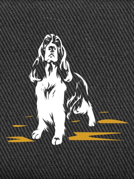 Flinker Springer Spaniel Wasserjagd