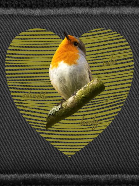 Rotkehlchen Singvogel