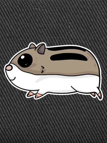 Cute hamster